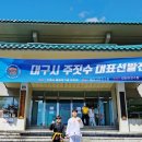 수성유도관 | 대구주짓수 ■대구시대표 선발전 후기■ [수성구주짓수/대구주짓수 여성주짓수/성인주짓수/키즈주짓수...