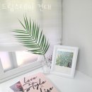 드림스테이 이미지