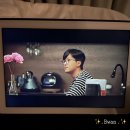 카페봄봄서귀 | 제주살이day13 . 일일일빵 걸매생태공원 새연교