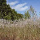 애견가을농장 이미지