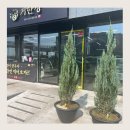 거제시 견인보관소 이미지