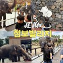 재일목장 | 제주도 점보빌리지 아기랑 가볼만한 곳 코끼리 공연정보 할인 후기