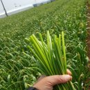 성미농장 이미지