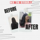 대치역 미용실 에코쟈뎅 대치테라스점 세팅펌 잘하고 친절해요