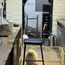 이대역미용실 &#39;바우에이치&#39; 새롬 실장님 귀여운 히피펌 후기