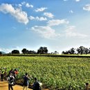 연천 호로고루 이미지