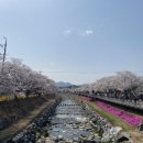 금산천1길 이미지