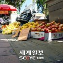 노점37