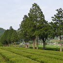 대한농장 이미지