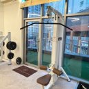 레이디 짐 이미지