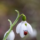 위너스골프스쿨 이미지