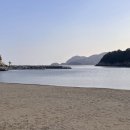 매종리바벨라 이미지
