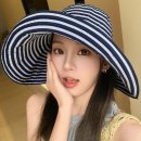 엠에스(MS) 이미지