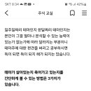 테마주의 이해 이미지