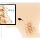 채움마취통증의학과의원 이미지