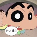 일상정육
