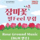 케이시컴퍼니 이미지