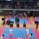 용인대 대호 태권도 이미지