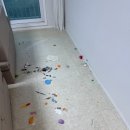 월평새뜸로 | 대전 가죽소파청소 글림케어 찐후기