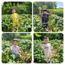 예인나라어린이집 이미지