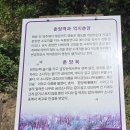 [외씨버선길 제10구간 : "보부상길"]옛 보부상들의 힘든 여정-최고 35도 폭염에 5개 난코스에 도전하다- 20km 완주 이미지