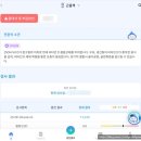 주진식품 | 임산부 비타민D 부족하면 어떤 영양제를 먹어야할까? 입덧 임산부 비타민디 영양제 추천 후기