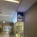 이화여자대학교의과대학부속서울병원 | [임신기록] 12주차 이대서울병원 전원, 초진 예약, 1차 기형아검사, 니프티검사 비용, 이경아 교수님