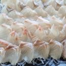 군산횟집 이미지