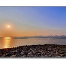 배곧한울공원 이미지