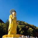 정이품송 공중화장실 이미지