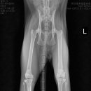 블루동물종합병원 이미지