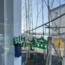 숲속의 빈터 이미지