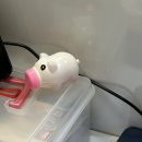 씨유증평 도안휴게소점 | 모래바닥에 체류 중