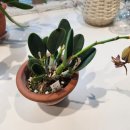 열매사 네이버블로그