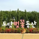 도당 공영 주차장 이미지