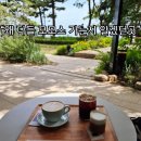 바다풍경(오륙도) | 왜 다들 부산 가면 모모스커피 가는지 알겠던 곳｜해운대 마린시티점 후기