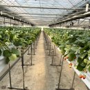 종대농장 이미지