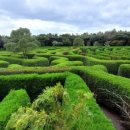 블루스프링리조트 이미지