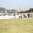 애견전람회 이미지