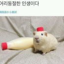 엄니순대국 이미지