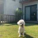 다소니펜션 이미지