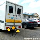 신화반점 이미지