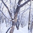 조일휴게소
