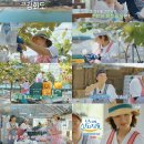 달콤한가위질 이미지