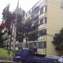 강남-189 이미지