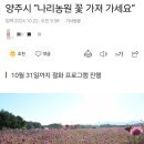 들길농원 | 양주 여행지 추천🍂 : 나리농원🥀/절화프로그램💐/ 기본 한 묶음 1000원❗️
