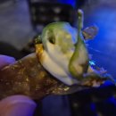 1도씨맥주탄방