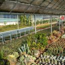 에버그린농장 이미지