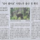 새우나라 이미지