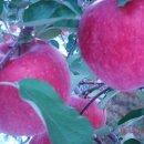 천해농장 이미지